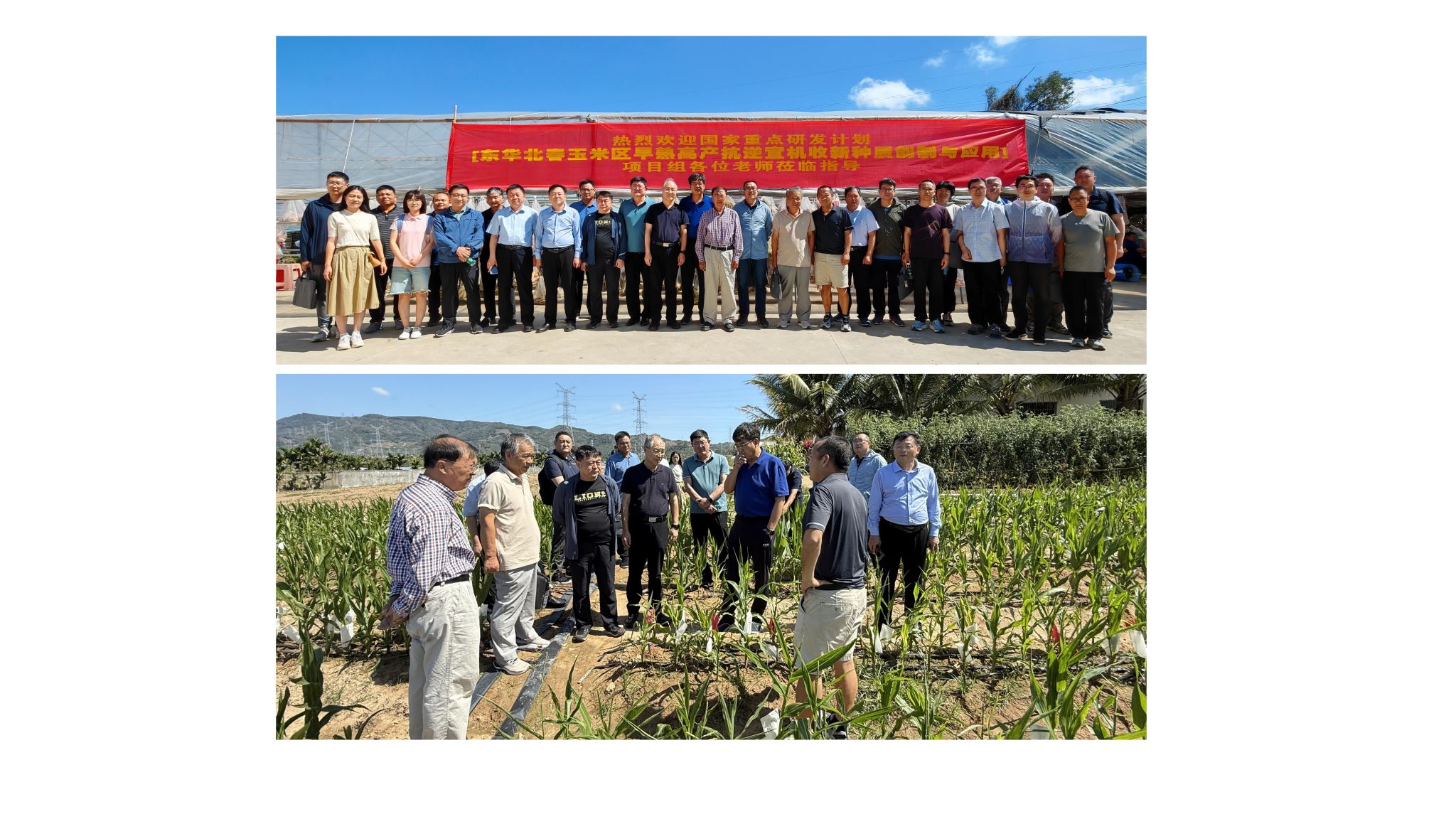 新建 PPTX 演示文稿_04