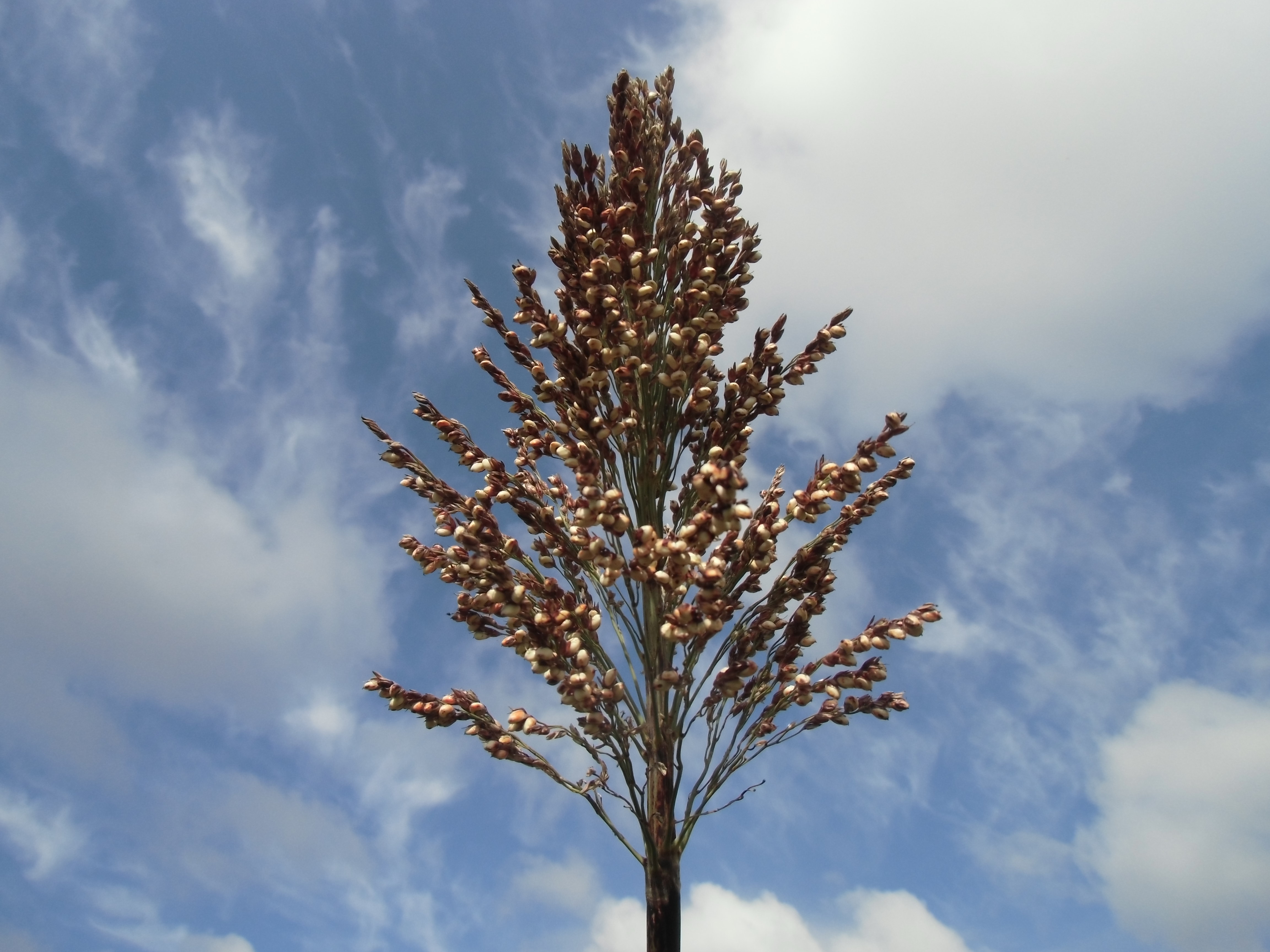 数据库中未找到相应图片