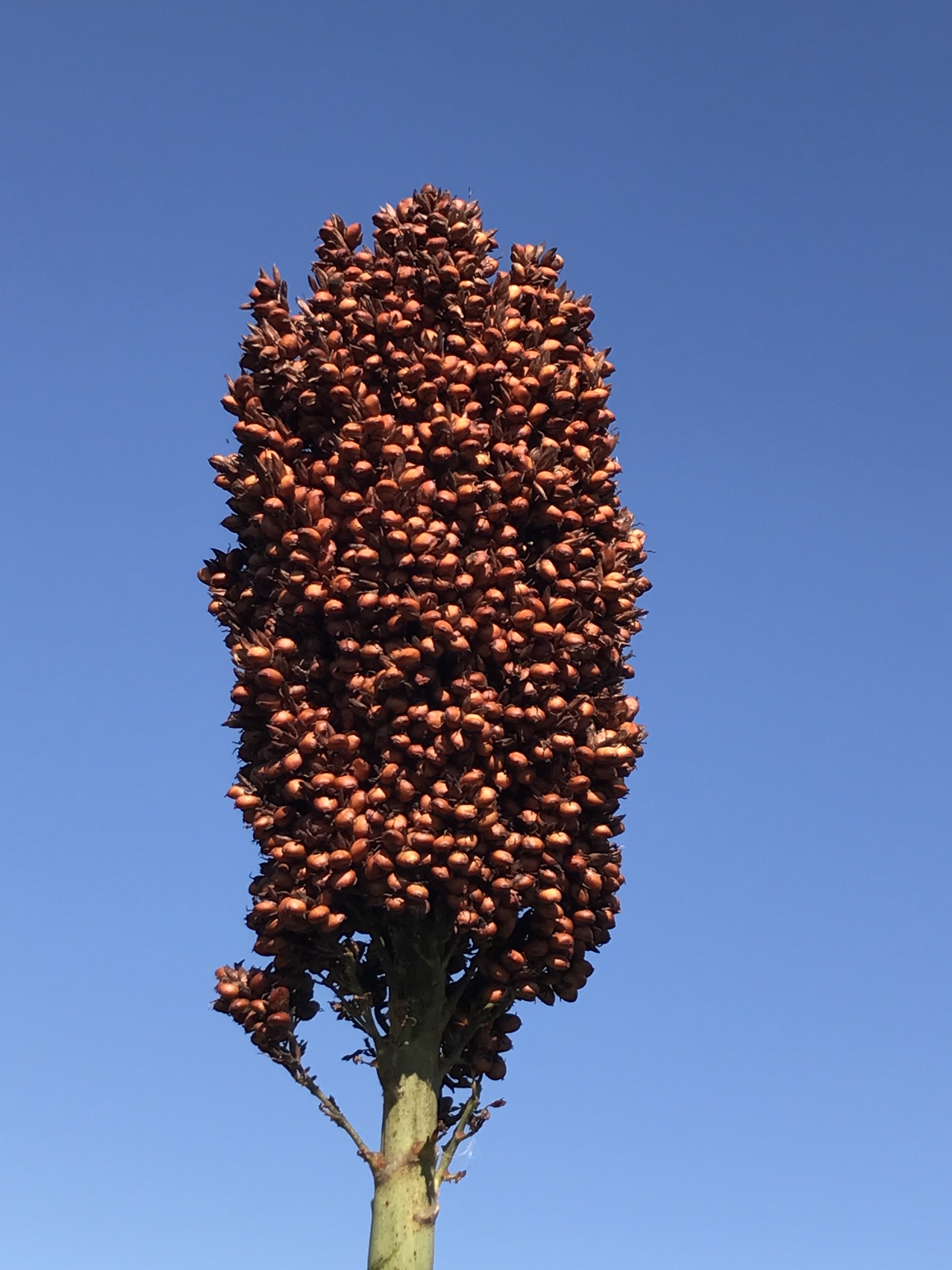 数据库中未找到相应图片