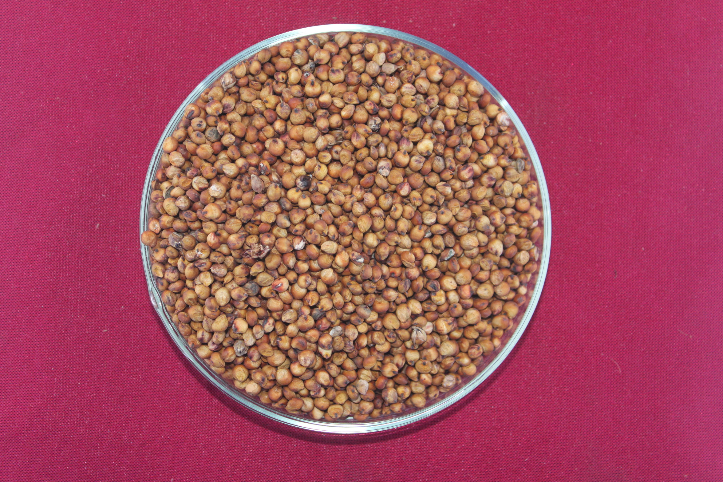 数据库中未找到相应图片