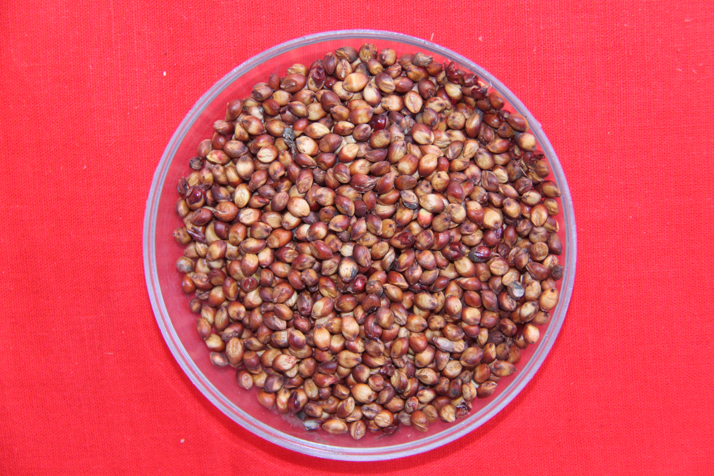 数据库中未找到相应图片