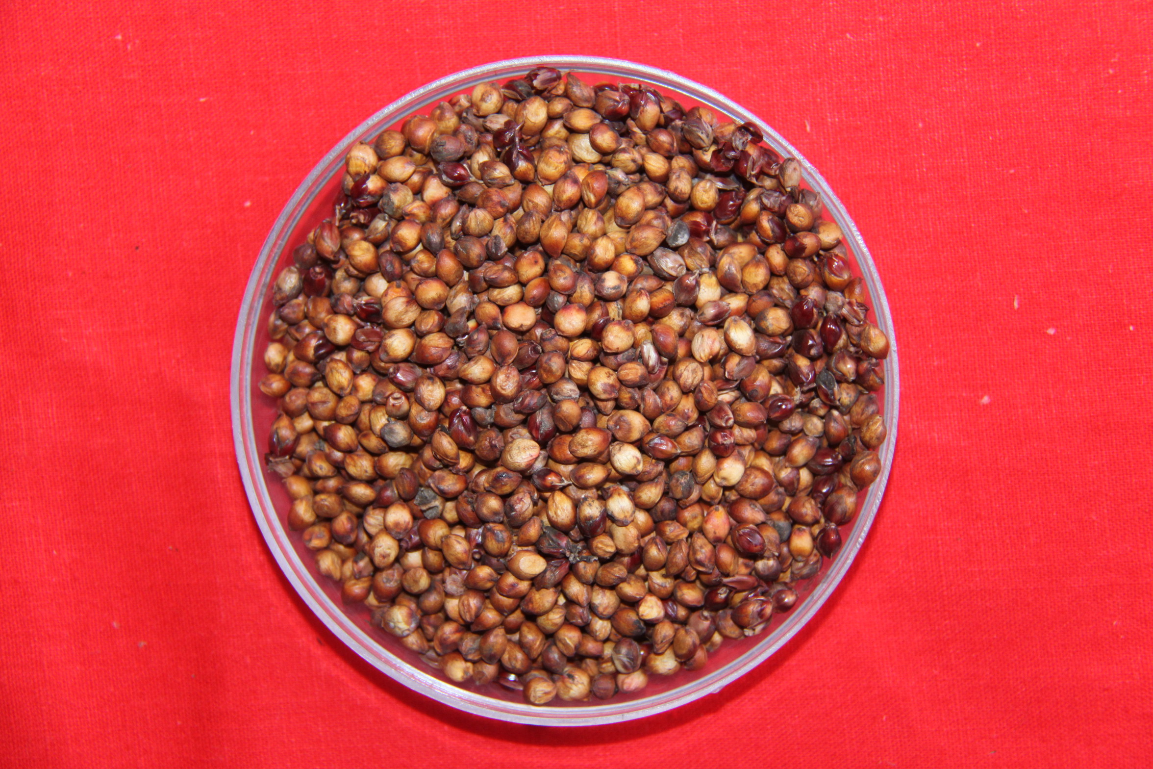 数据库中未找到相应图片