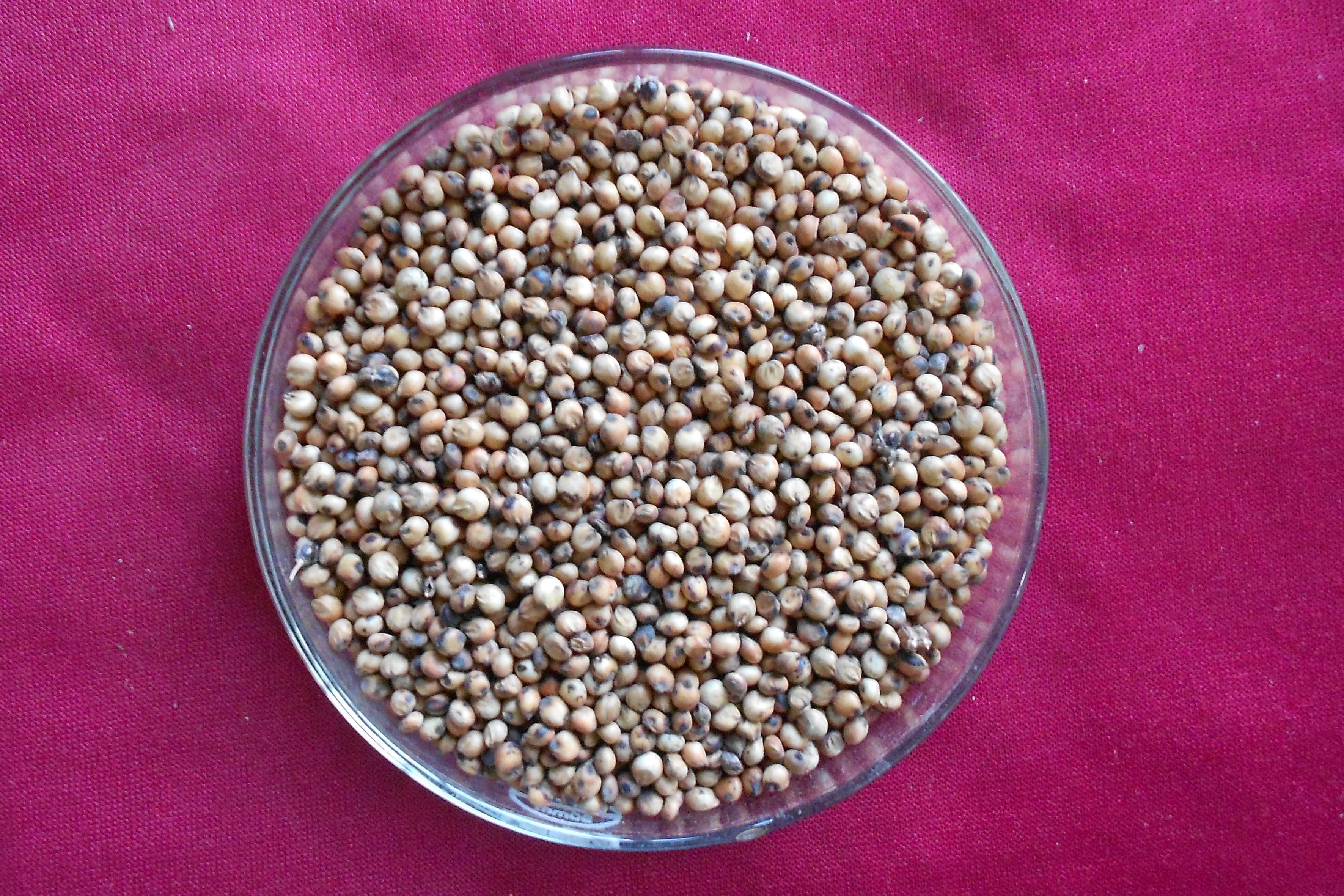 数据库中未找到相应图片