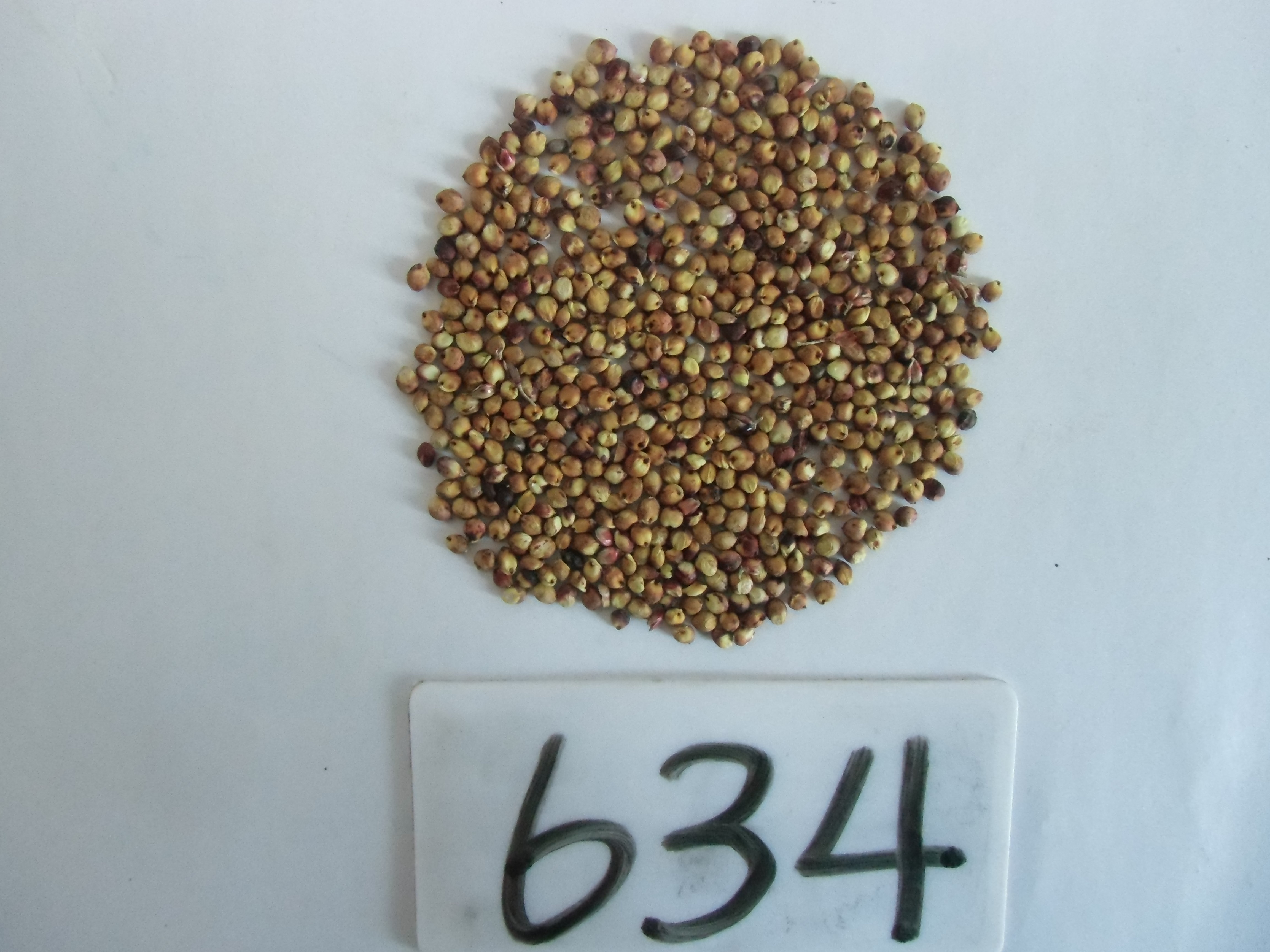 数据库中未找到相应图片