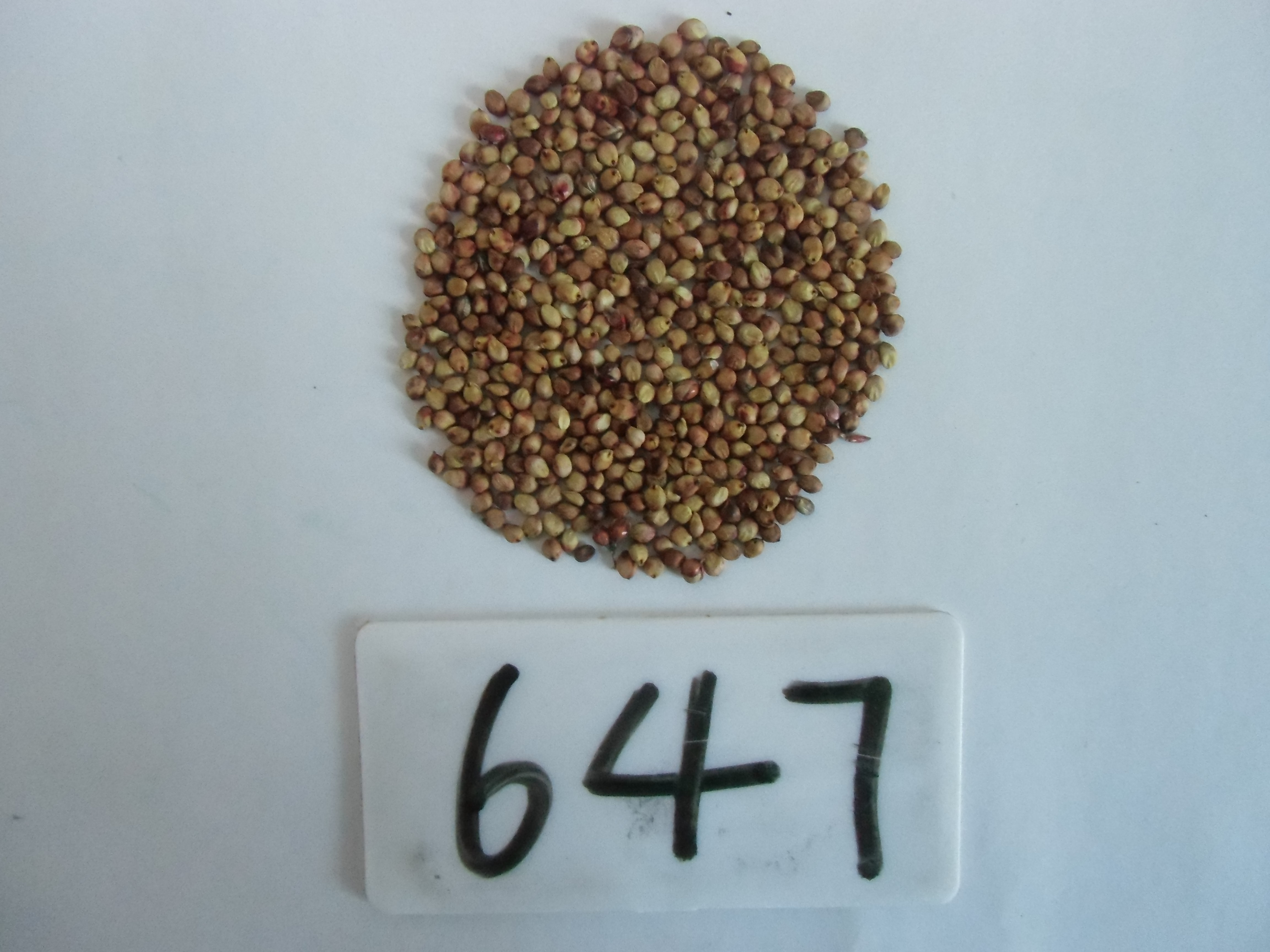 数据库中未找到相应图片