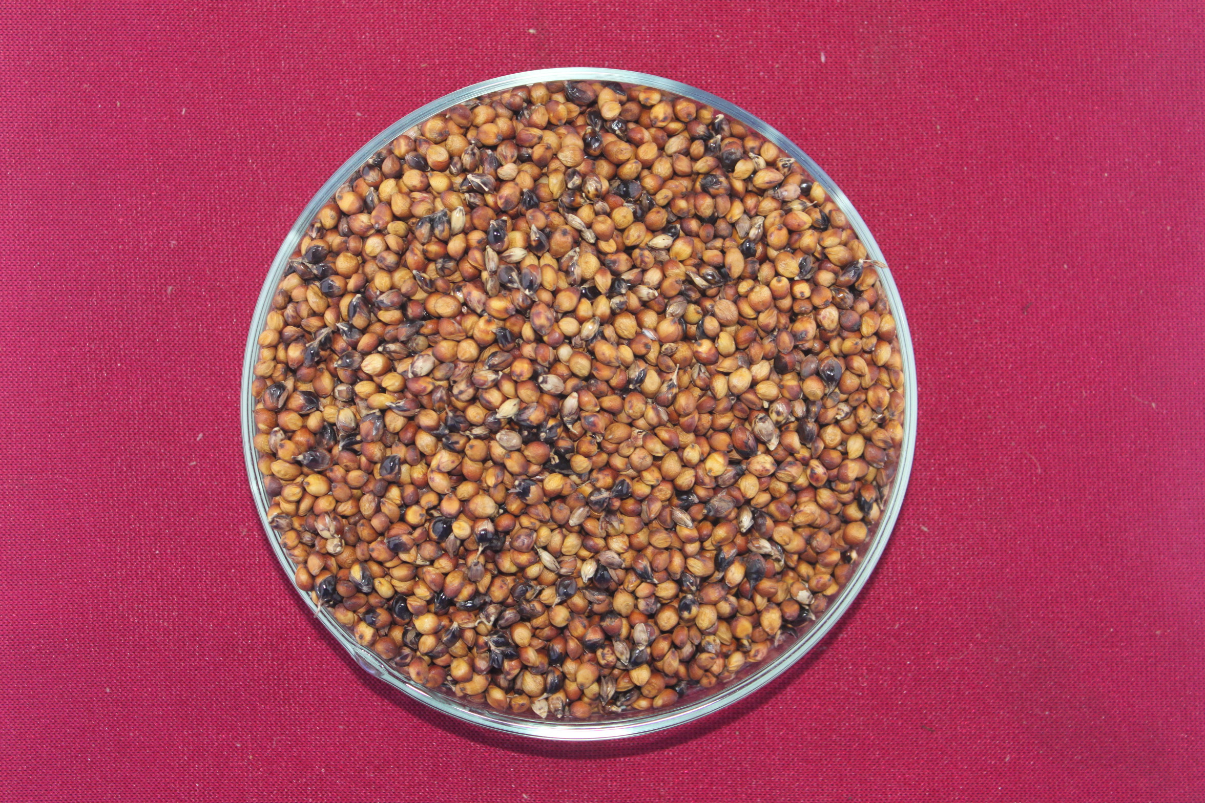 数据库中未找到相应图片